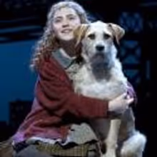 Review Roundup: ANNIE Opens on Broadway - All the Reviews!