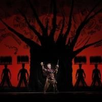 BWW Reviews: Latest Tour is LION KING Light