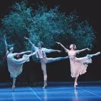 BWW Interview: Sara Webb Talks Houston Ballet's A MIDSUMMER NIGHT'S DREAM