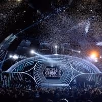 MALEFICENT, BIG BANG THEORY, Taylor Swift and More Top 2015 PEOPLE'S CHOICE AWARDS…