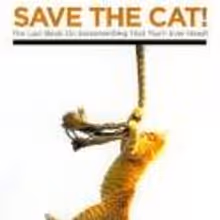 BWW Book Reviews: SAVE THE CAT! By Blake Snyder
