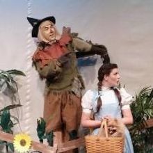 Terrace Plaza Playhouse to Stage WIZARD OF OZ, 6/13-7/26