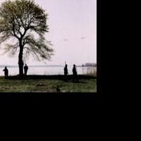 Museum of City of New York Hosts Talk on Hart Island Tonight