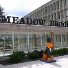 Katy Olsen Joins Meadow Brook Theatre as Development Director