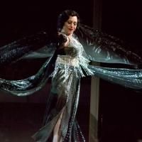 Photo Flash: First Look at Media Theatre's SUNSET BOULEVARD Starring Ann Crumb, Now…