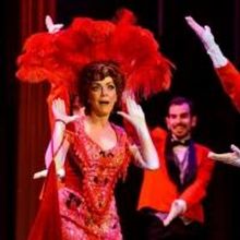 Review Roundup: Media Theatre's HELLO, DOLLY Starring Andrea McArdle