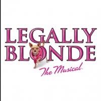 MTC School of Performing Arts Stages LEGALLY BLONDE, Beg. Tonight