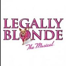 MTC School of Performing Arts to Stage LEGALLY BLONDE, 7/13-14