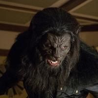 BWW Recap:  A GRIMM Face Off with the 'Marechaussee'