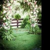 Design Star Michael Gaffeny opens Miami School of Flower Design in the Wynwood Arts…
