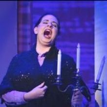 Photo Flash: First Look at YOUNG FRANKENSTEIN at the Manatee Players