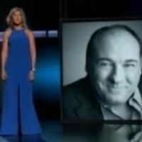 STAGE TUBE: Edie Falco Remembers James Gandolfini