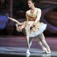 American Repertory Ballet Announces its 50th Annual 'Nutcracker' Season