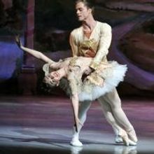 American Repertory Ballet Announces its 50th Annual 'Nutcracker' Season