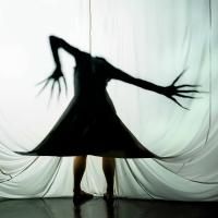 BWW Reviews: A DELICATE SITUATION Brings East and West Together Through Myth and…