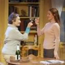 Photo Flash: First Look at Milwaukee Chamber Theatre's COLLECTED STORIES