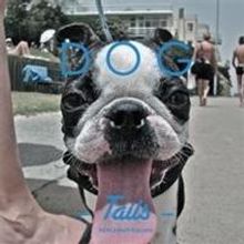 'Dog Tails' is Released