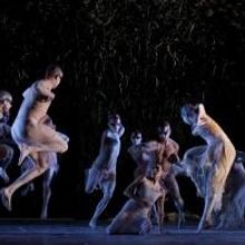 Bangarra Dance Theatre Performs at 2014 Holland Dance Festival This Weekend