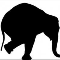 Elephant Theatre Co. Hosts 2nd Annual Poker Royale Benefit Tonight