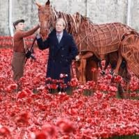 Photo Flash: WAR HORSE's Joey and Author Michael Morpurgo at the Tower of London