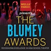 Blumenthal Performing Arts Announces Nominees for 2014 Blumey Awards; Ceremony Set…