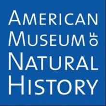 NATURAL HISTORIES Exhibition Opens Today at AMNH