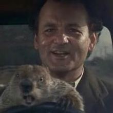 Official: GROUNDHOG DAY Musical to Cast Broadway Shadow in 2017!