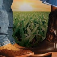 OKLAHOMA! Opens Pennsylvania Shakespeare Festival's 22nd Season Tonight