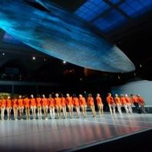 BWW Reviews: Seeking Harmony in the Art of Activism