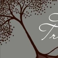 Creede Repertory Theatre Presents THE LANGUAGE OF TREES