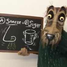 Center for Puppetry Arts to Present TRUE STORY OF THE 3 LITTLE PIGS BY A. WOLF, 5/28-