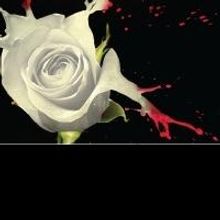 Pi Theatre Presents Western Canadian Premiere of Sarah Kane's BLASTED, Now thru 4/25