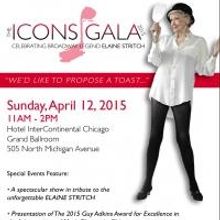 Porchlight's 2015 ICONS Gala to Tribute Elaine Stritch This Spring