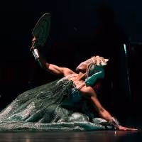 Bale Folclorico da Bahia, The Hollands! and More Set for AMP Concerts, Nov-Dec 2013