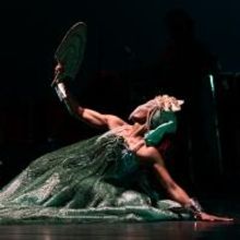 Bale Folclorico da Bahia, The Hollands! and More Set for AMP Concerts, Nov-Dec 2013