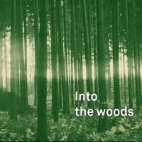 INTO THE WOODS to Play Theatre du Chatelet in April