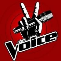 BWW ASKS: VOICE vs. IDOL: Who Wins This Battle Round?