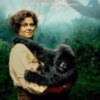 Civic Theatre of Allentown to Show GORILLAS IN THE MIST as Part of National Evening…