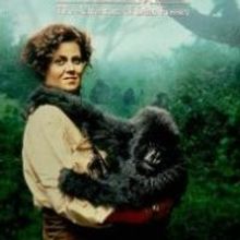 Civic Theatre of Allentown to Show GORILLAS IN THE MIST as Part of National Evening o