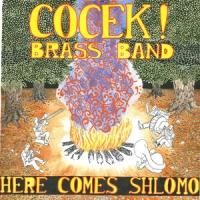Cocek! Brass Band with the NY Gypsy All-Stars at Drom, Today