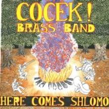 Cocek! Brass Band with the NY Gypsy All-Stars at Drom, Today