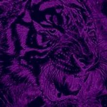 A CAUTIONARY TAIL Extends at The Flea Through 7/23