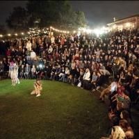 Next Wave Festival Surges Toward Climax