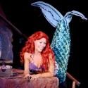 THE LITTLE MERMAID, DREAMGIRLS and More Set for Theater of the Stars' 2013-14 Season