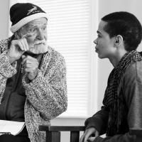 Three Shows Added to THE SHADOW OF THE HUMMINGBIRD by Popular Demand, July 10-26
