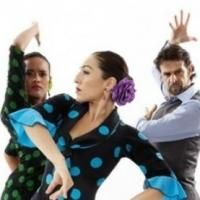 Brooklyn Center for the Performing Arts Announces 60th Anniversary World Dance Series