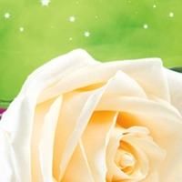 Ensemble Theatre to Present SLEEPING BEAUTY, Begin. 12/3
