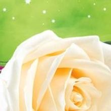 Ensemble Theatre to Present SLEEPING BEAUTY, Begin. 12/3