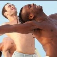 Ailey II, Complexions Contemporary Ballet, Marcelo Gomes and More Set for 2014 Fire…