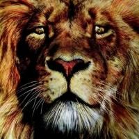 Rose Theater to Present NARNIA, 12/6-29
